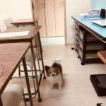 ２０２３年６月topics