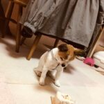 ２０２３年９月topics