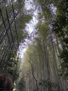 ２０２５年６月topics