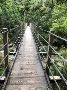 ２０２２年５月topics