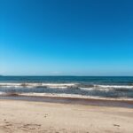 ２０２２年９月topics