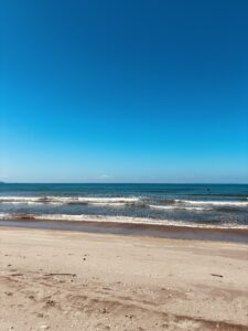 ２０２２年９月topics