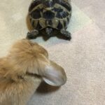 ２０２２年１２月topics