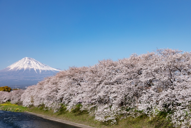 日々想（２０２４年５月）