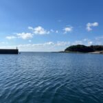 ２０２５年１２月topics