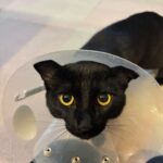 ２０２６年１月topics