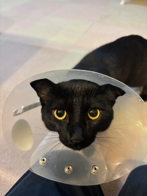 ２０２６年１月topics