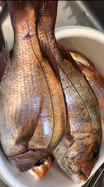 日々想（２０２６年２月）