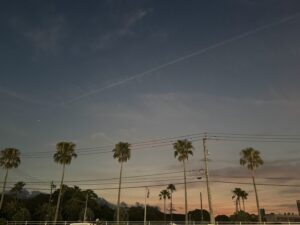 ２０２６年９月topics